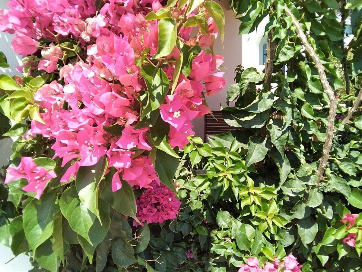 Katastárion Votsalon Beach House מראה חיצוני תמונה